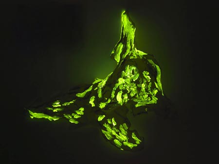 large image